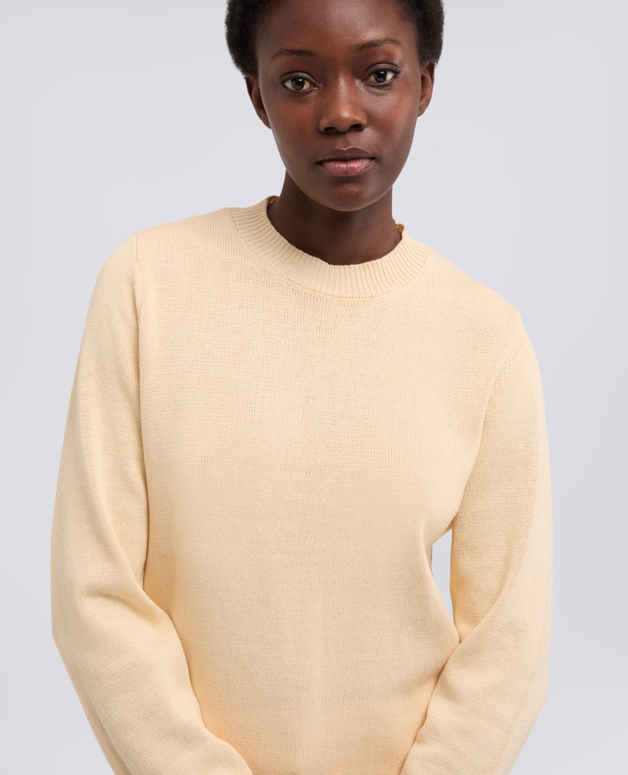 MAGLIA GIROCOLLO A MANICHE LUNGHE IN COTONE - NATURALE - ASPESI