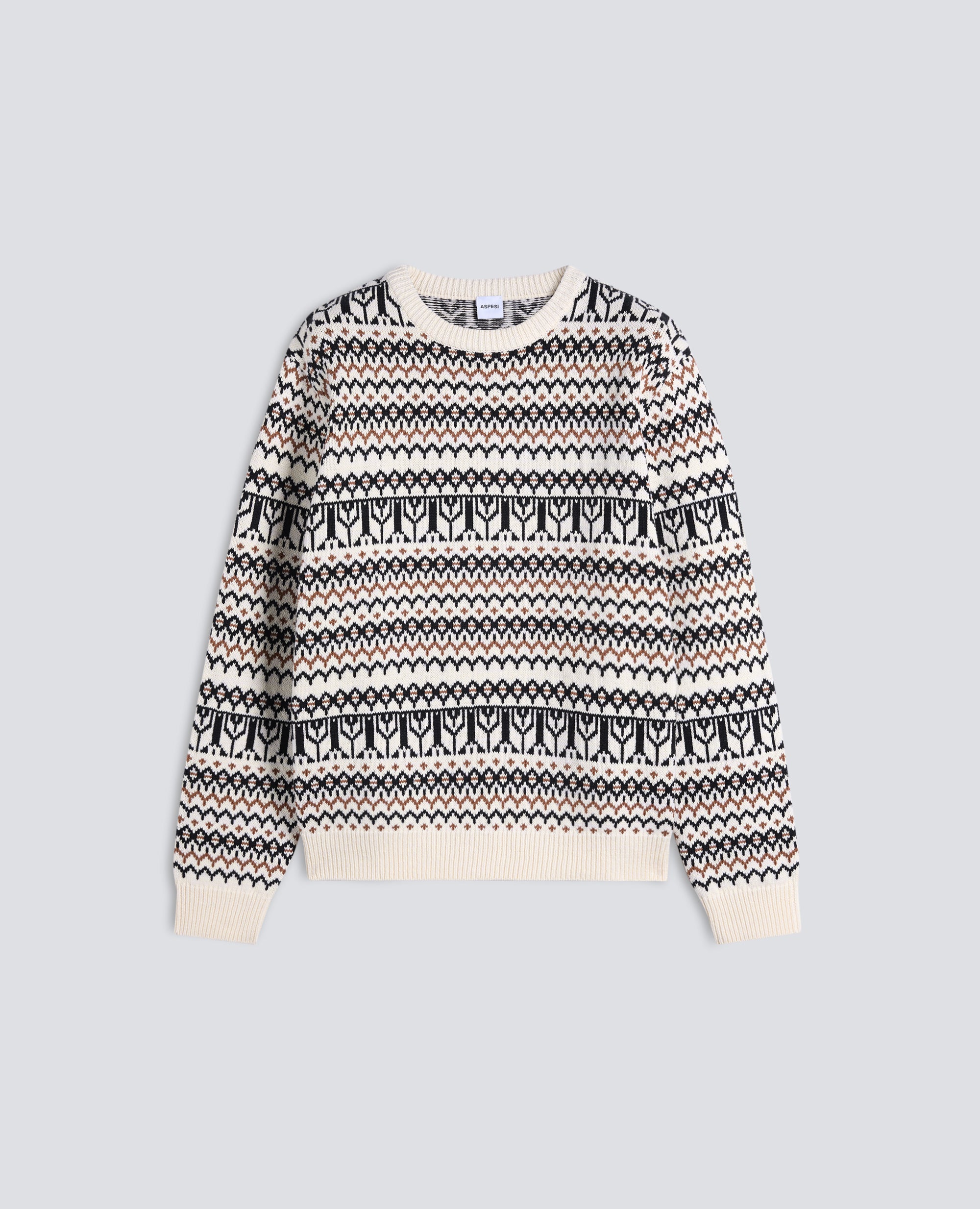 MAGLIA GIROCOLLO A MANICHE LUNGHE IN MISTO COTONE - MULTICOLOR - ASPESI