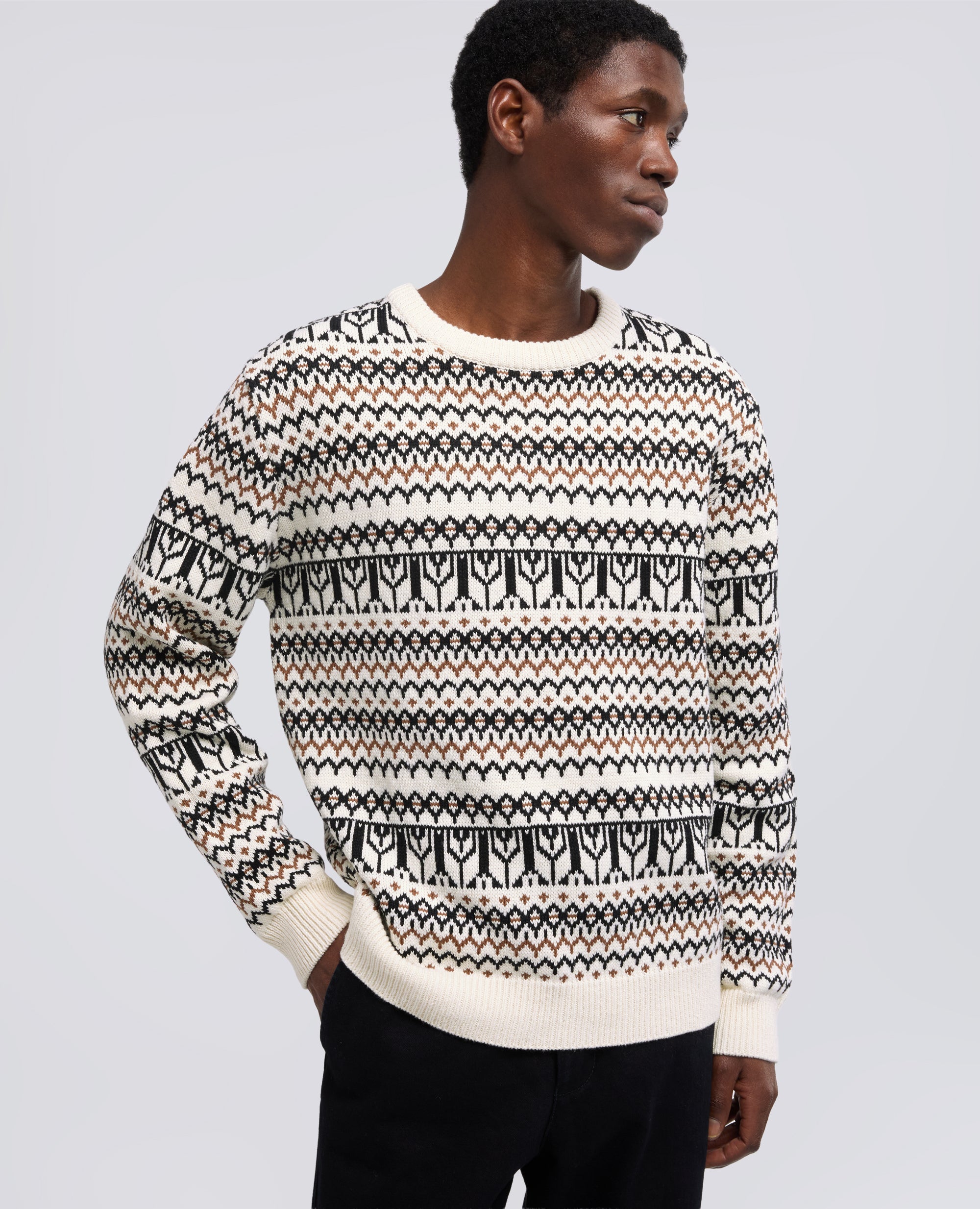 MAGLIA GIROCOLLO A MANICHE LUNGHE IN MISTO COTONE - MULTICOLOR - ASPESI